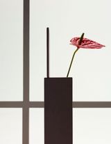 Still Life with Anthurium Large by Erwin Olaf contemporary artwork print