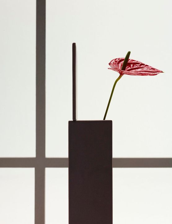 Still Life with Anthurium Large by Erwin Olaf contemporary artwork Print