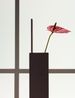 Still Life with Anthurium Large by Erwin Olaf contemporary artwork Print