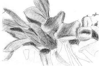 Contemporary art exhibition Alex Katz Flower Journals at Thaddaeus Ropac Salzburg Villa Kast Austria