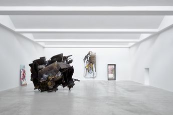 Peter Buggenhout contemporary artist
