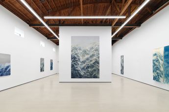 Contemporary art exhibition Wu Chi-Tsung Fading Origin at Sean Kelly Los Angeles United States