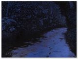The Path by Bruno Gadenne contemporary artwork painting