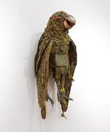 Pezoporus occidentalis  night parrot by Fiona Hall contemporary artwork sculpture