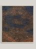 Traces IX by Timothy Hyunsoo Lee contemporary artwork Painting