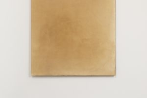 Leonardo Anker Vandal