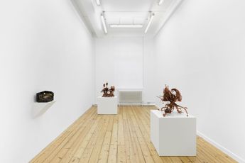 Contemporary art exhibition MAX HOOPER SCHNEIDER Twilight at the Earths Crust at Maureen Paley Studio M United Kingdom
