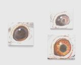 Eyes by Luc Tuymans contemporary artwork painting