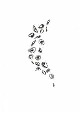 Murmurations of Eyes 13 by Donald Urquhart contemporary artwork drawing