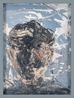 Untitled by Christian Rothwangl contemporary artwork Painting