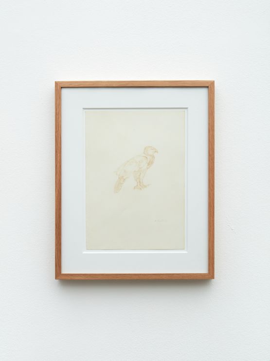 Eagle aigle by Christiana Soulou contemporary artwork Drawing