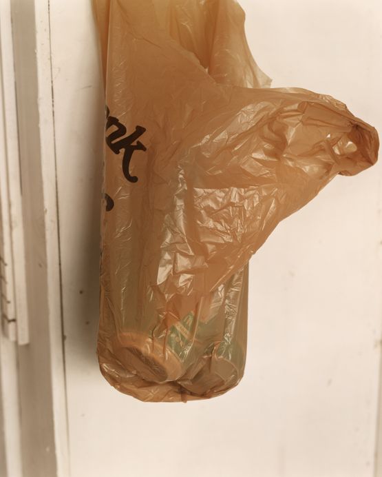 Deli Bag by Roe Ethridge contemporary artwork Photography