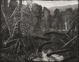 The Shadow behind Roots Karimun Jawa Islands by Maryanto contemporary artwork painting