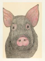 This Little Piggy by Eddie Lui contemporary artwork drawing works on paper