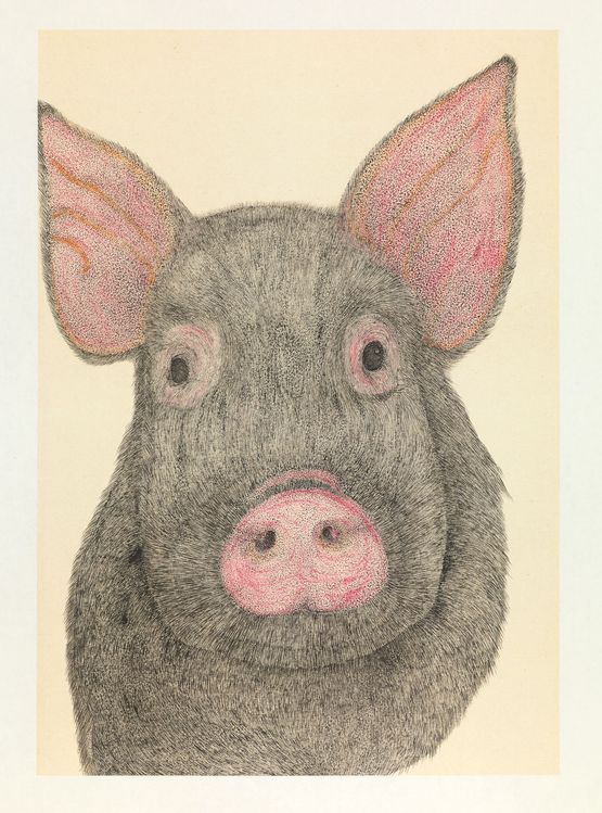 This Little Piggy by Eddie Lui contemporary artwork Works on Paper