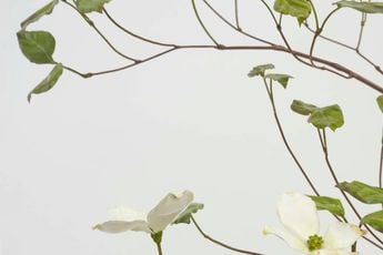 Contemporary art exhibition Alvaro Urbano Prelude at Marian Goodman Gallery New York United States