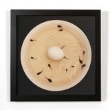 Artificial Insemination III by Nina Katchadourian contemporary artwork photography