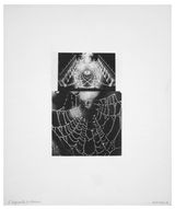 Arachnes Footprint by Mirella Bentivoglio contemporary artwork photography print works on paper