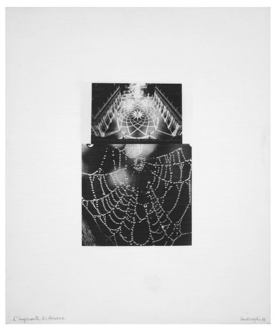 Arachnes Footprint by Mirella Bentivoglio contemporary artwork Works on Paper