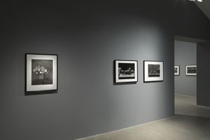 Don McCullin