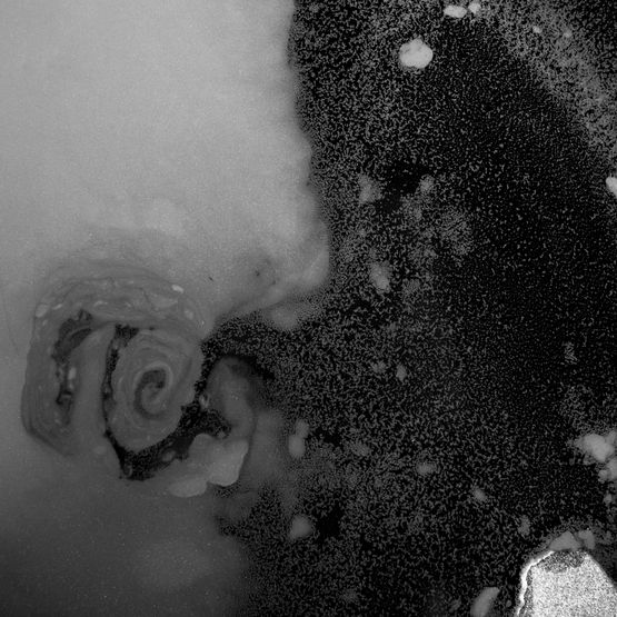 Oil Spill 5 by Rivane Neuenschwander contemporary artwork Photography