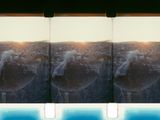 Sunflower at dusk version2 by Joao Maria Gusmao contemporary artwork moving image