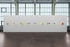 Roni Horn