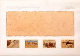 Area-Sayreville New Jersey 40-30 Latitude 74-30 Longitude Specimen Fragment Sample of Earth Showing Impression of Rock Forms Location-Views of East Side Of Quarry site Date-July 26th 1976 3 PM by Michelle Stuart contemporary artwork drawing painting works on paper