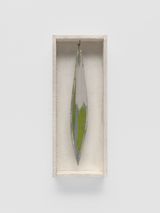 Kleine bladeren Vrouwentong by Jef Geys contemporary artwork sculpture