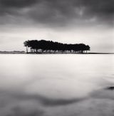 Pine Trees Study 4 Wolcheon Gangwondo South Korea by Michael Kenna contemporary artwork photography