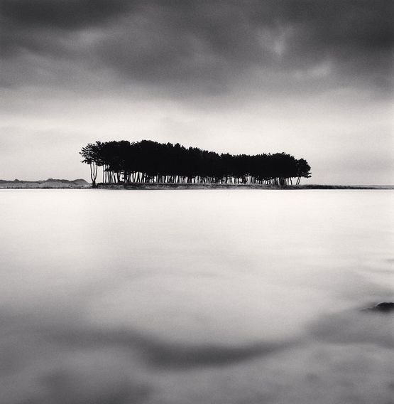 Pine Trees Study 4 Wolcheon Gangwondo South Korea by Michael Kenna contemporary artwork Photography