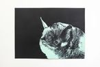 Freetail Dub by Jeremy Deller contemporary artwork Works on Paper
