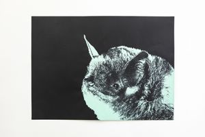 Jeremy Deller