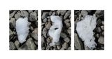 Fragile Ice by Rene Balcer contemporary artwork print