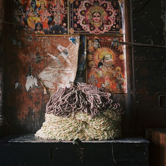 Nature morte aux tubereuses no. 2 by Denis Dailleux contemporary artwork Photography