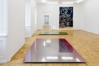 Contemporary art exhibition Adrian Schiess Coquelicot at Galerie nachst St. Stephan Rosemarie Schwarzwalder Vienna Austria