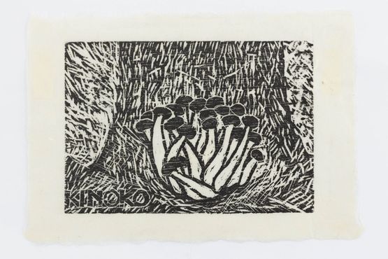 Child of the tree Finding My Way in Aomori by Robin White contemporary artwork Works on Paper