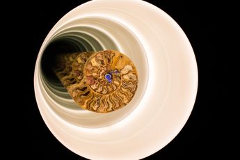 Cyprien Gaillard contemporary artist