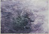 Untitled by Aditi Singh contemporary artwork works on paper