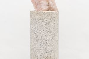 Amelia Toledo