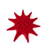 Stem holder 2 by Rhandzu Vermeulen contemporary artwork sculpture