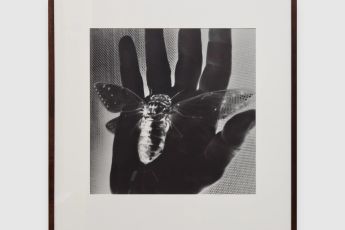Iraida Icaza contemporary artist
