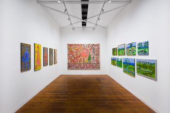 Contemporary art exhibition Robert Campbell Jnr Robert Campbell Jnr at Roslyn Oxley9 Gallery Sydney Australia