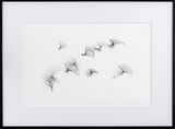 Sets of straight lines by Frieder Nake contemporary artwork drawing painting works on paper