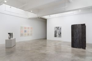 Ghada Amer
