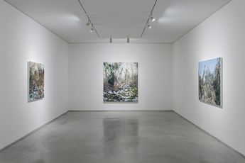 Contemporary art exhibition Lee Kwang-Ho Lee Kwang-Ho at Kukje Gallery Seoul South Korea