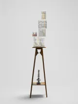 Prism MariaPrism KettlePrism Toy-BirdPrism Toy-ElephantPrism WomanKotoPixCell-MicroscopeAlex by Kohei Nawa contemporary artwork mixed media