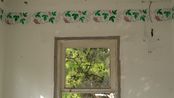 Welcome to Naturland by Cengiz Tekin contemporary artwork Moving Image