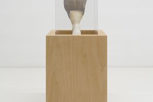 Miranda Fengyuan Zhang