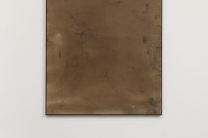 Leonardo Anker Vandal